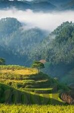 热血新手村九游版下载-热血新手村，九游版下载之旅